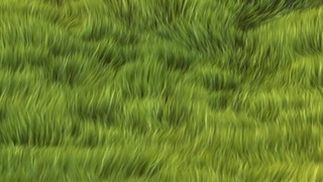 Source, untouched
